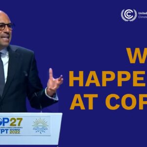 Everything that Happened at COP27 | UN Climate Change