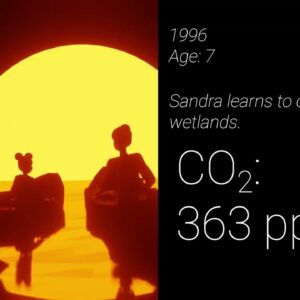 How much has carbon dioxide increased in a lifetime?